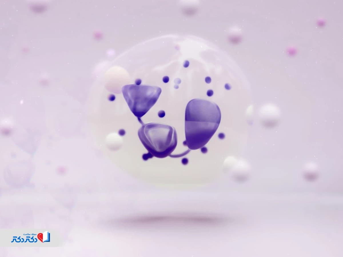 NEUT در آزمایش خون| میزان نرمال و دلایل بالا و پایین بودن NEUT